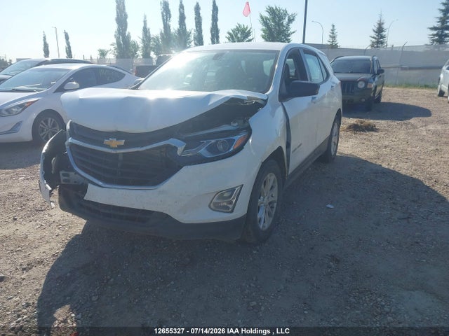 2GNAXREV3J6216644 Chevrolet EQUINOX LS