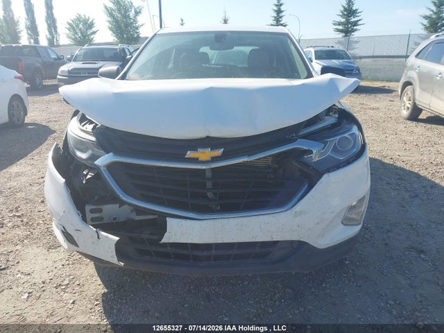 2GNAXREV3J6216644 Chevrolet EQUINOX LS