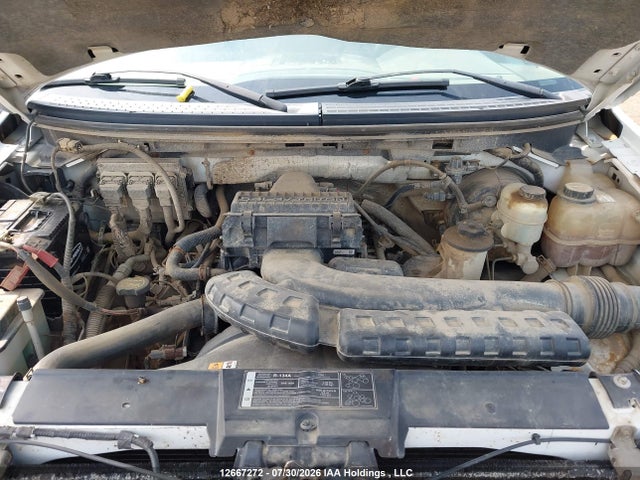 12667272 :رقم المزاد ، 1FTPW14V58FA03848 vin ، 2008 Ford F-150 Fx4/king Ranch/lariat/xlt مزاد بيع