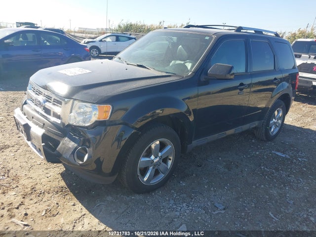 Aukcja sprzedaży 2010 Ford Escape Limited, vin: 1FMCU9EG5AKB72537, numer aukcji: 12731783