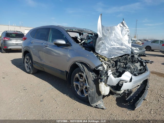 Продаж на аукціоні авто 2019 Honda Cr-v, vin: 2HKRW2H57KH147617, номер лоту: 12731960