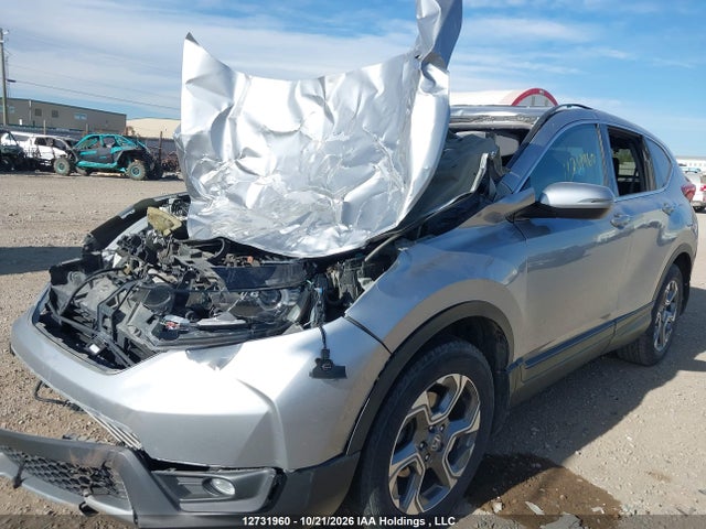 Продаж на аукціоні авто 2019 Honda Cr-v, vin: 2HKRW2H57KH147617, номер лоту: 12731960