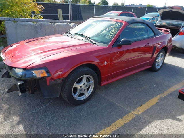2003 Ford Mustang მანქანა იყიდება აუქციონზე, vin: 1FAFP44403F350018, აუქციონის ნომერი: 12705559