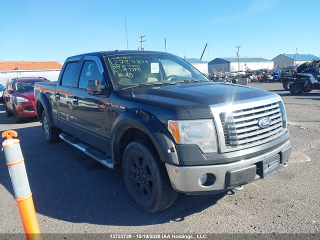 2010 Ford F-150 Fx4/harley-davidson/lariat/xlt მანქანა იყიდება აუქციონზე, vin: 1FTFW1EV2AFA33891, აუქციონის ნომერი: 12723729