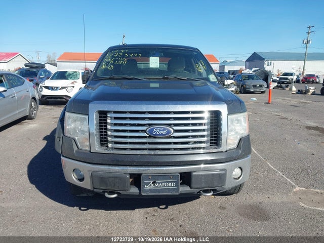 2010 Ford F-150 Fx4/harley-davidson/lariat/xlt მანქანა იყიდება აუქციონზე, vin: 1FTFW1EV2AFA33891, აუქციონის ნომერი: 12723729