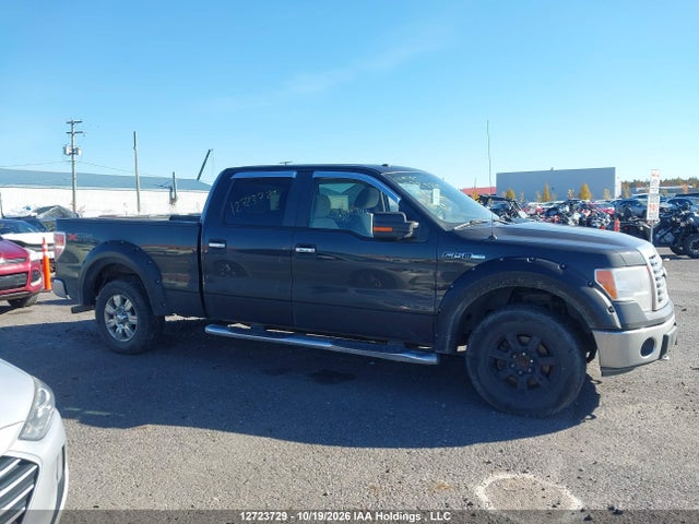 2010 Ford F-150 Fx4/harley-davidson/lariat/xlt მანქანა იყიდება აუქციონზე, vin: 1FTFW1EV2AFA33891, აუქციონის ნომერი: 12723729
