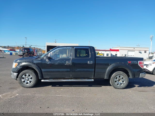 2010 Ford F-150 Fx4/harley-davidson/lariat/xlt მანქანა იყიდება აუქციონზე, vin: 1FTFW1EV2AFA33891, აუქციონის ნომერი: 12723729