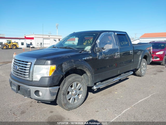 2010 Ford F-150 Fx4/harley-davidson/lariat/xlt მანქანა იყიდება აუქციონზე, vin: 1FTFW1EV2AFA33891, აუქციონის ნომერი: 12723729
