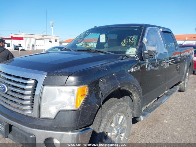 2010 Ford F-150 Fx4/harley-davidson/lariat/xlt მანქანა იყიდება აუქციონზე, vin: 1FTFW1EV2AFA33891, აუქციონის ნომერი: 12723729
