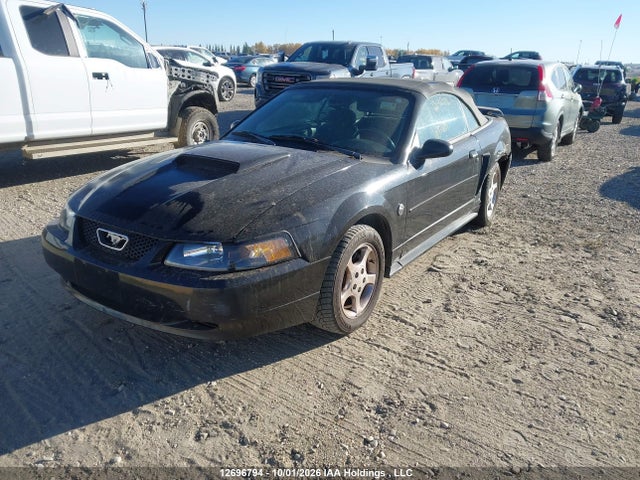 Продаж на аукціоні авто 2004 Ford Mustang Convertible, vin: 1FAFP44624F200544, номер лоту: 12696794