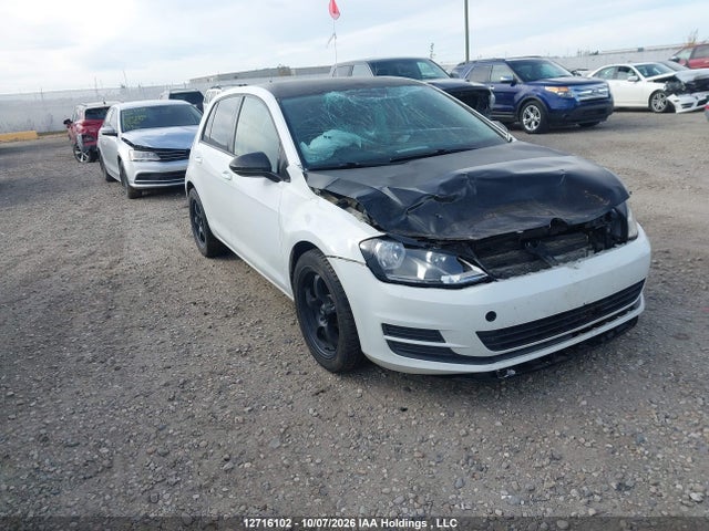 2015 3VW117AU3FM068646 zdjęcie główne