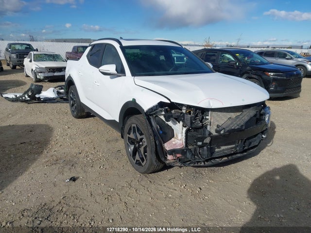 Hyundai Santa Cruz Trend 2024 5NTJDDDF1RH125654 главное изображение