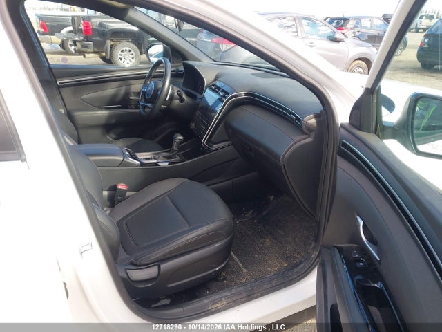 5NTJDDDF1RH125654 Hyundai Santa Cruz Trend