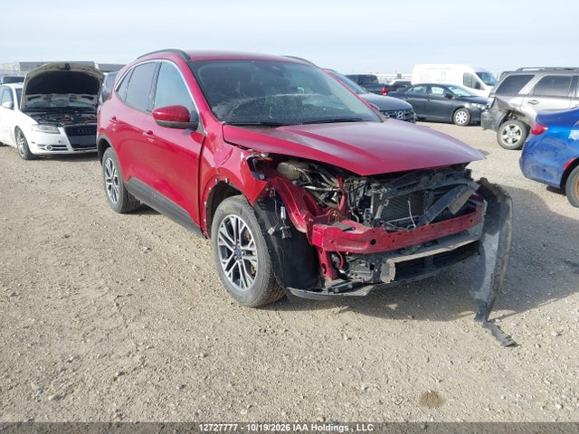 Продаж на аукціоні авто 2020 Ford Escape Sel, vin: 1FMCU9H64LUA16435, номер лоту: 12727777