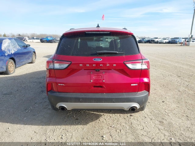 Продаж на аукціоні авто 2020 Ford Escape Sel, vin: 1FMCU9H64LUA16435, номер лоту: 12727777