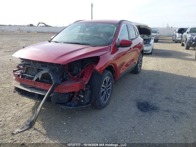 Продаж на аукціоні авто 2020 Ford Escape Sel, vin: 1FMCU9H64LUA16435, номер лоту: 12727777