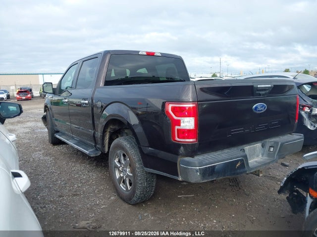 1FTEW1E5XLFB01546 Ford F-150 Xlt