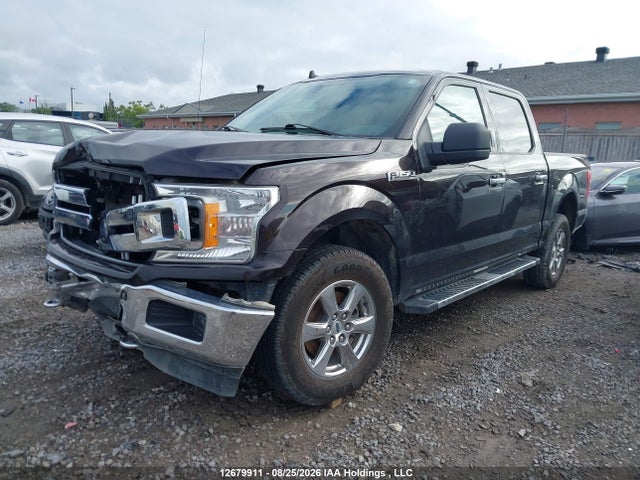 1FTEW1E5XLFB01546 Ford F-150 Xlt