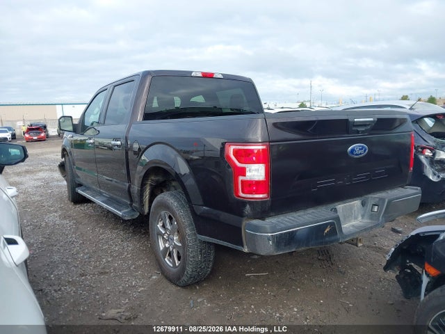1FTEW1E5XLFB01546 Ford F-150 Xlt
