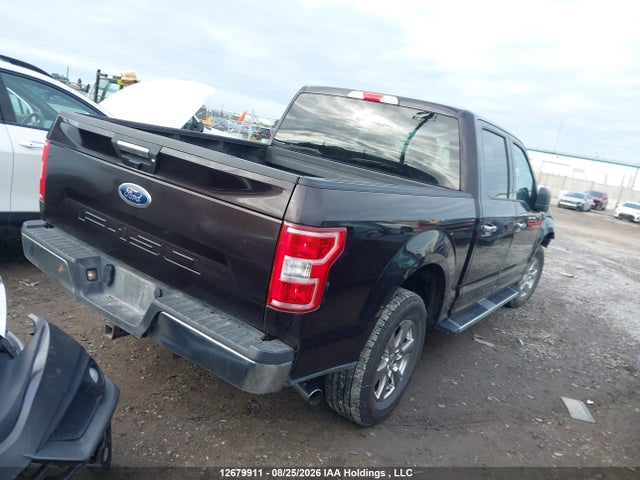 1FTEW1E5XLFB01546 Ford F-150 Xlt