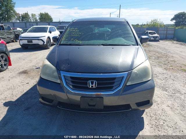 2010 Honda Odyssey Dx მანქანა იყიდება აუქციონზე, vin: 5FNRL3H13AB501951, აუქციონის ნომერი: 12711680