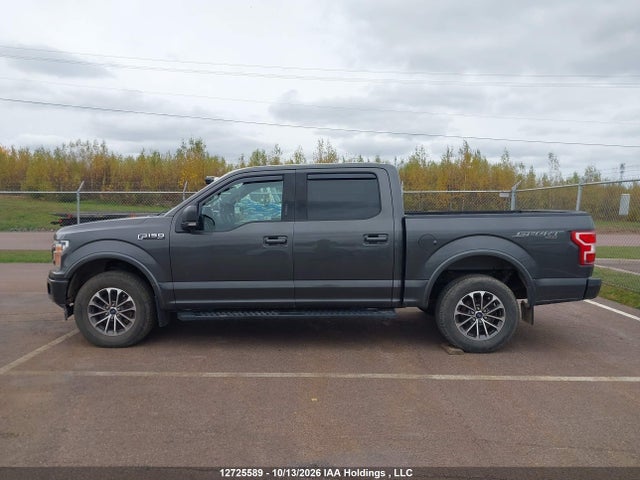 Ford F-150 Xlt 2020 1FTEW1EP5LKE00645 Image 14
