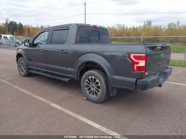 Ford F-150 Xlt 2020 1FTEW1EP5LKE00645 Image 3