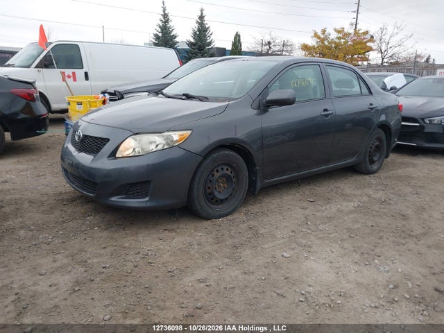 2009 Toyota Corolla S/le/xle მანქანა იყიდება აუქციონზე, vin: 2T1BU40E39C183056, აუქციონის ნომერი: 12736098