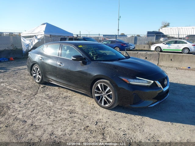 Продаж на аукціоні авто 2023 Nissan Maxima Sl, vin: 1N4AA6DV5PC509848, номер лоту: 12736116