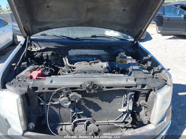 Ford F-150 Xlt 2014 1FTFX1EF4EKG14022 Image 10