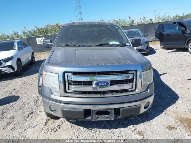 Ford F-150 Xlt 2014 1FTFX1EF4EKG14022 Image 12