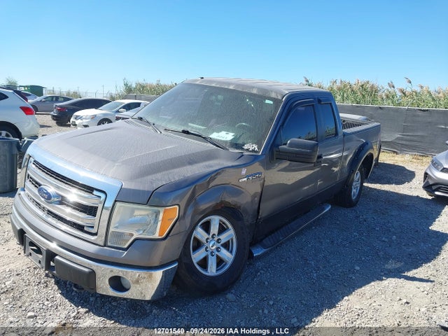 Ford F-150 Xlt 2014 1FTFX1EF4EKG14022 Image 2