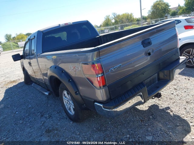 Ford F-150 Xlt 2014 1FTFX1EF4EKG14022 Image 3