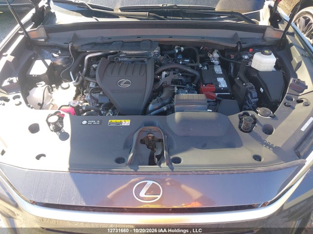 Auction sale of the 2024 Lexus Tx 350 Base/350 Premium/350 Luxury, vin: 5TDAAAB61RS004870, lot number: 12731660