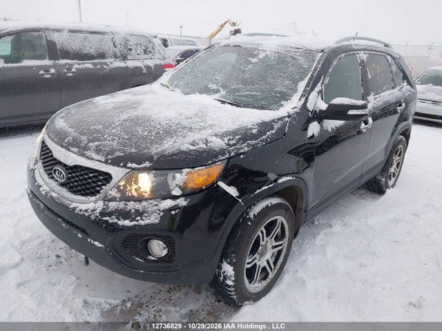 Продаж на аукціоні авто 2011 Kia Sorento Ex, vin: 5XYKUDA26BG167612, номер лоту: 12736829