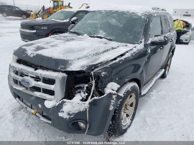 12737288 :رقم المزاد ، 1FMCU93178KC41107 vin ، 2008 Ford Escape Xlt مزاد بيع