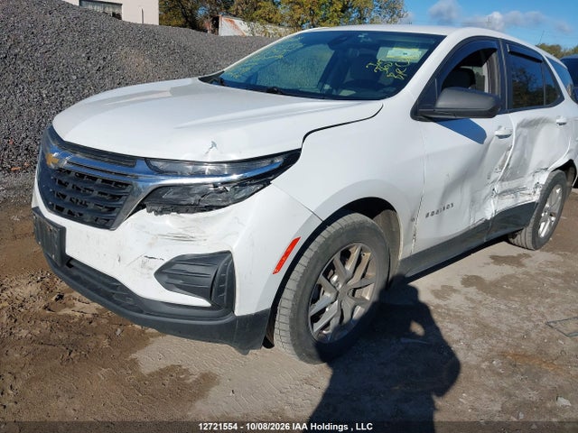 Chevrolet EQUINOX LS 2024 3GNAXSEG0RL163935 Image 6