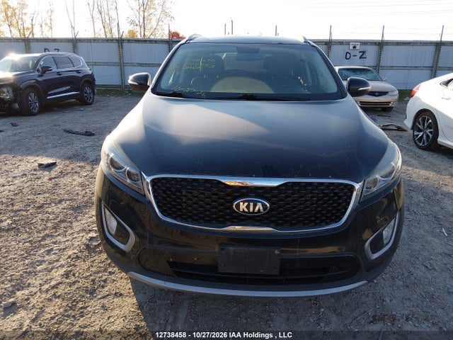 Aukcja sprzedaży 2017 Kia Sorento Ex, vin: 5XYPHDA5XHG209793, numer aukcji: 12738458