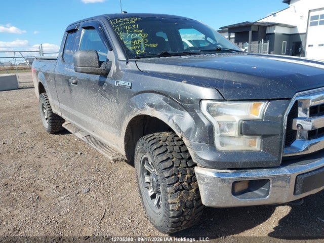 Ford F-150 Xlt 2016 1FTFX1EF7GFA19631 Image 6