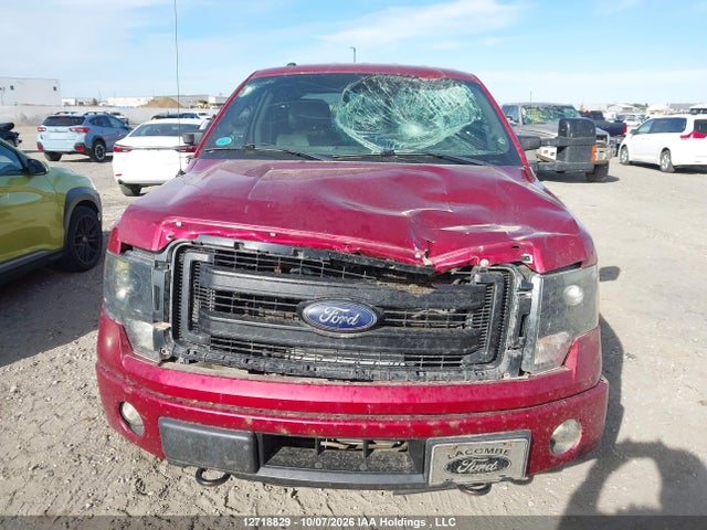 Ford F-150 Fx4 2014 1FTFW1ET7EFB52931 Image 12