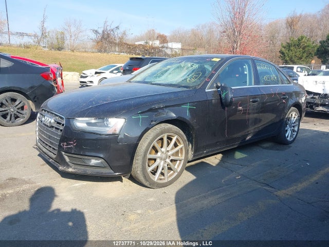 Auction sale of the 2014 Audi A4 2.0 Progressiv, vin: WAUFFCFL2EN025727, lot number: 12737771