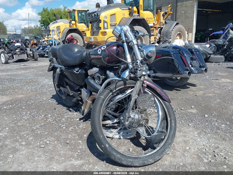 2005 Harley-davidson Xl1200 C Purple vin: 1HD1CGP155K435495