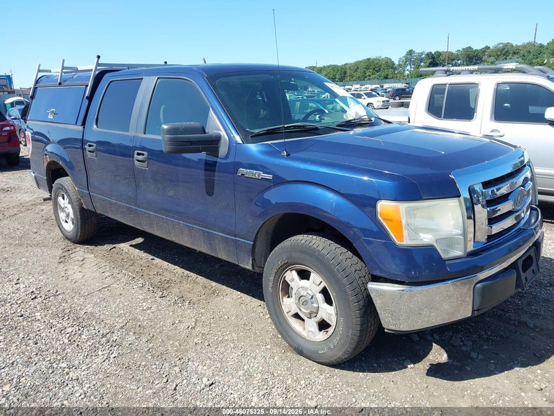 2009 Ford F-150 King Ranch/lariat/platinum/xl/xlt vin: 1FTPW12V59FA31184