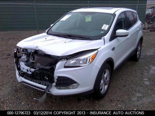 2014 FORD ESCAPE SE 1FMCU0G96EUA06161