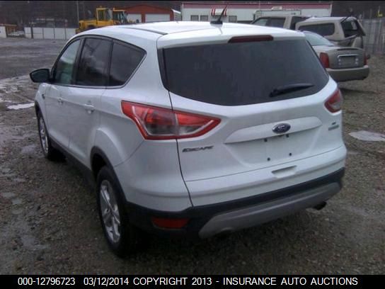 2014 FORD ESCAPE SE 1FMCU0G96EUA06161