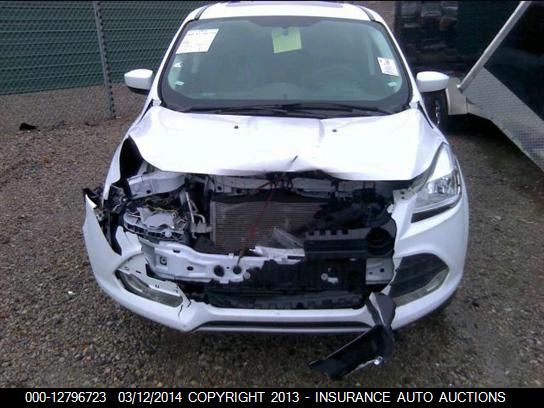 2014 FORD ESCAPE SE 1FMCU0G96EUA06161