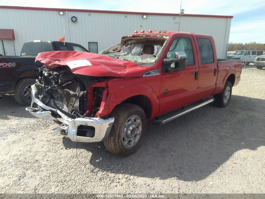 2013 FORD SUPER DUTY F-250 SRW XL/XLT/LARIAT - 1FT7W2BT8DEA78728