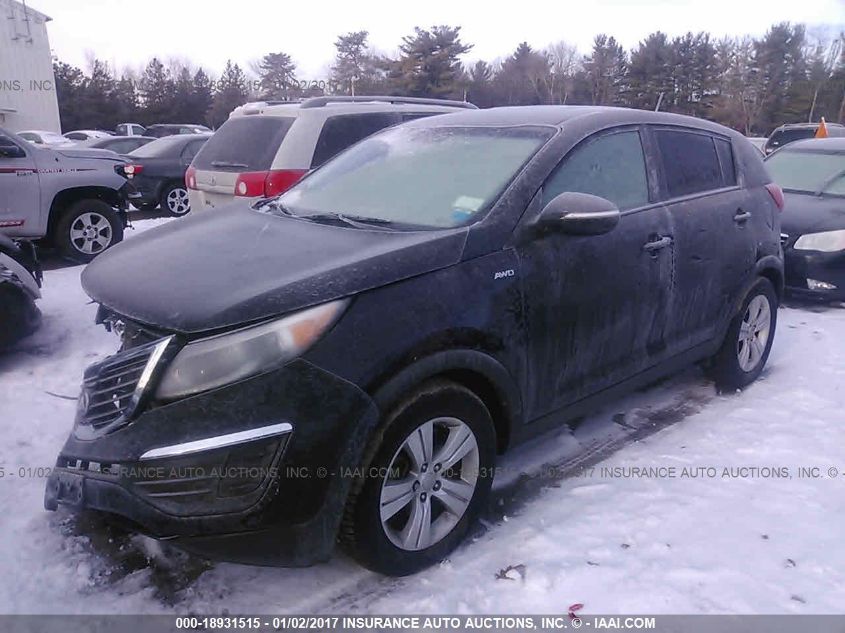 2013 KIA SPORTAGE LX KNDPBCA22D7410158
