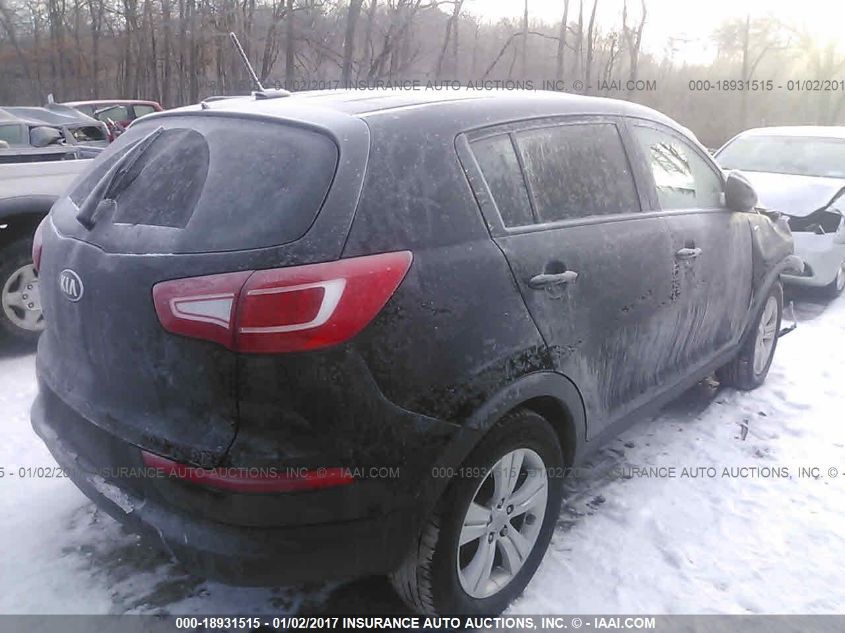 2013 KIA SPORTAGE LX KNDPBCA22D7410158
