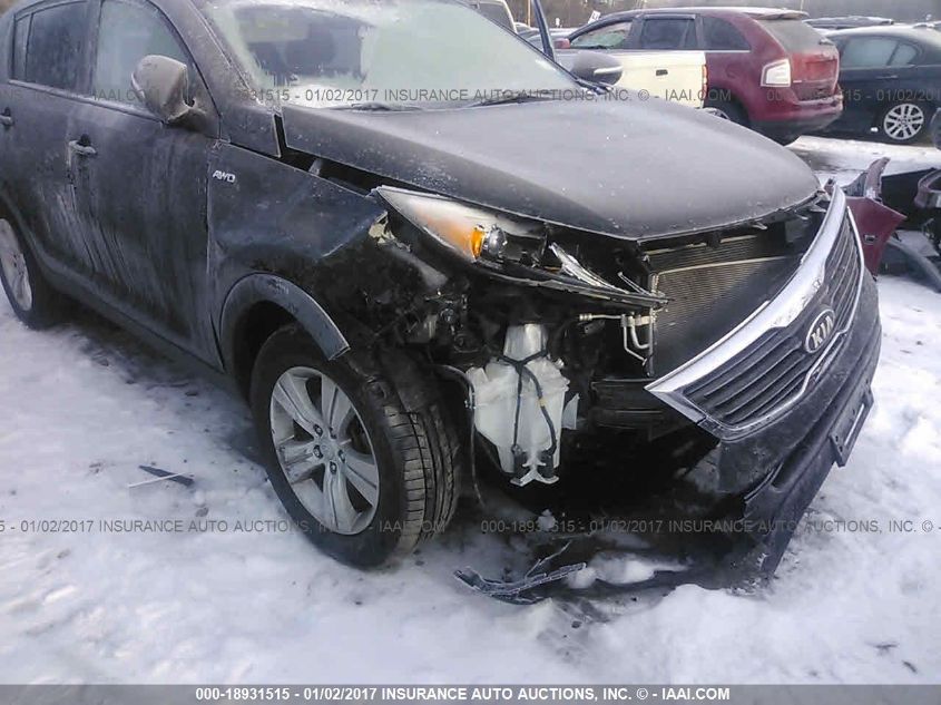 2013 KIA SPORTAGE LX KNDPBCA22D7410158